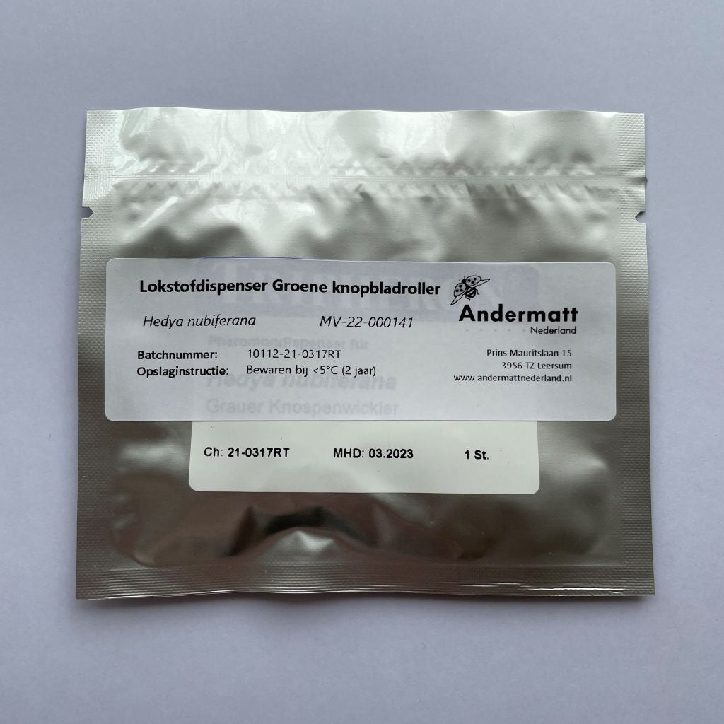 Grüne Knopf-Blattracke (Hedya nubeferana)