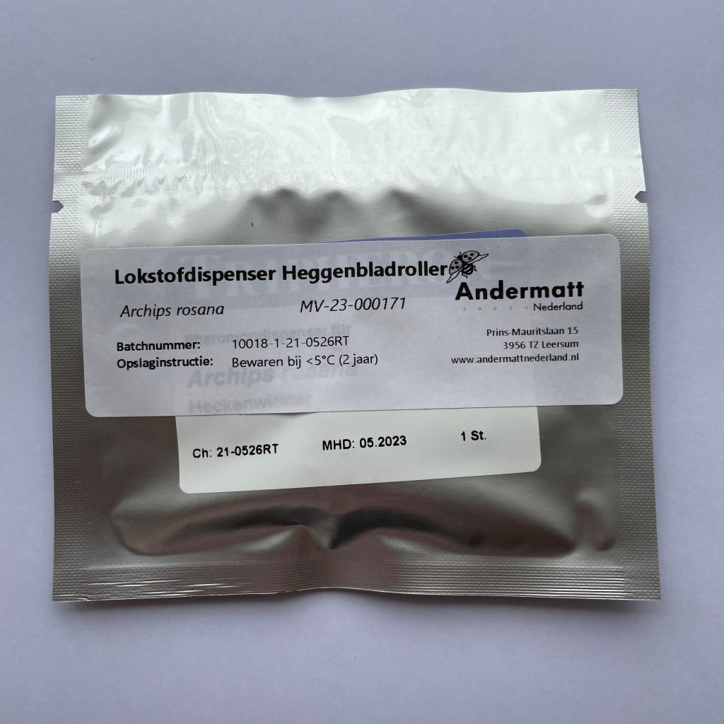 Heckenwickler (Archips rosana)