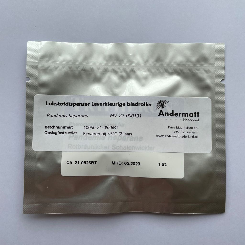 Leberfarbener Blattwickler (Pandemis heparana)