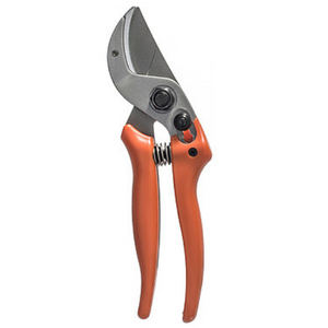 Lowe secateurs