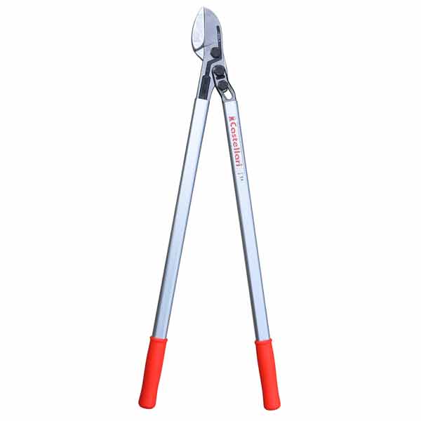 Tucano Scissors