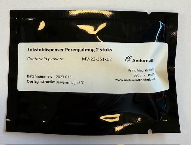 Pear gall midge (Contarinia pyrivora) 2 pcs.