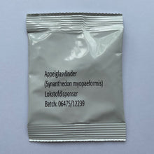 Appelglasvlinder (Synanthedon myopaeformis) 2st.