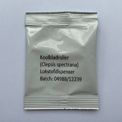 Koolbladroller (Clepsis spectrana) 2st.