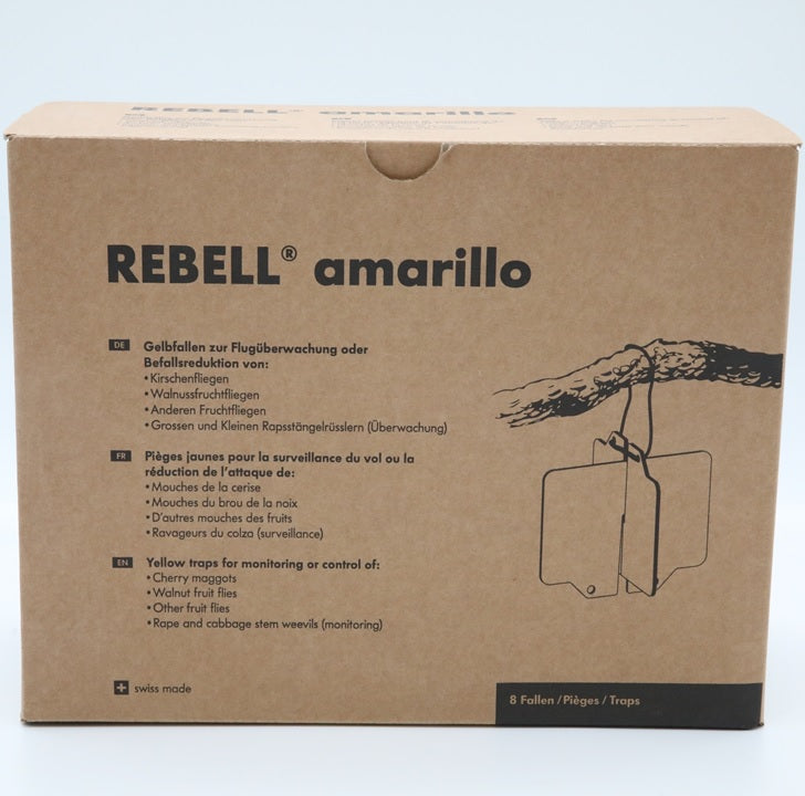 Kersenvliegval (Rebell amarilllo)
